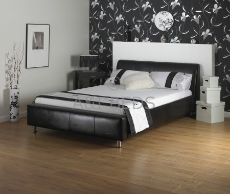 ANI BEDS Coal.jpg